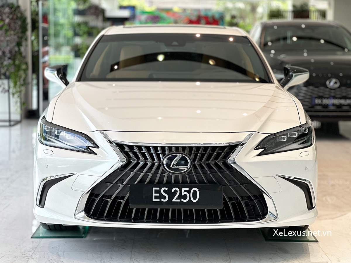 Phần đầu xe Lexus ES 250
