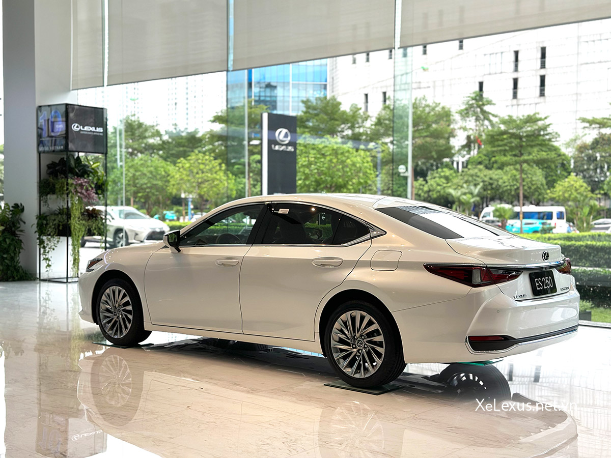 Đuôi xe Lexus ES 250