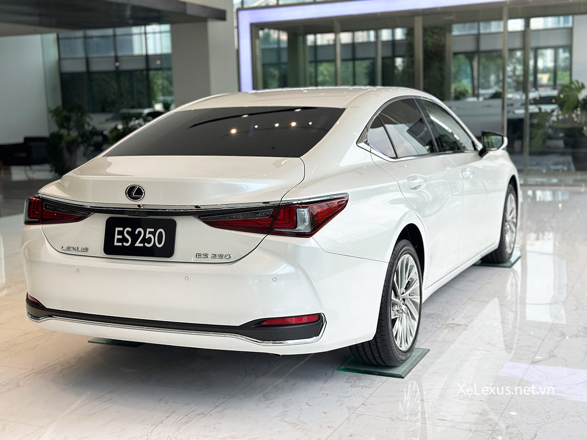 Đuôi xe Lexus ES250 2025