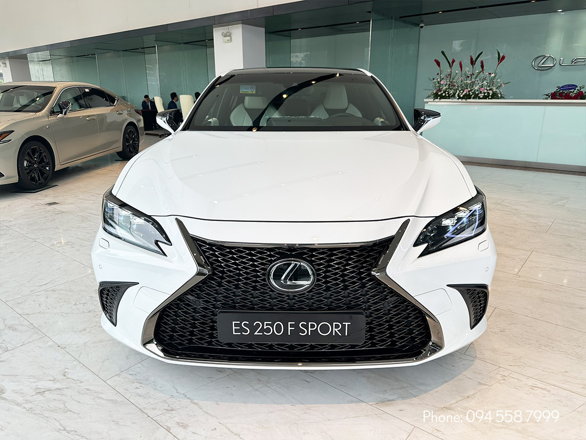 Phần đầu xe Lexus ES 250