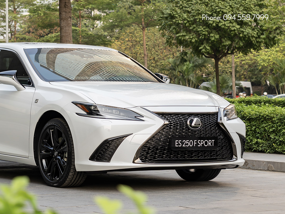 Động cơ trên xe Lexus ES 250 F SPORT