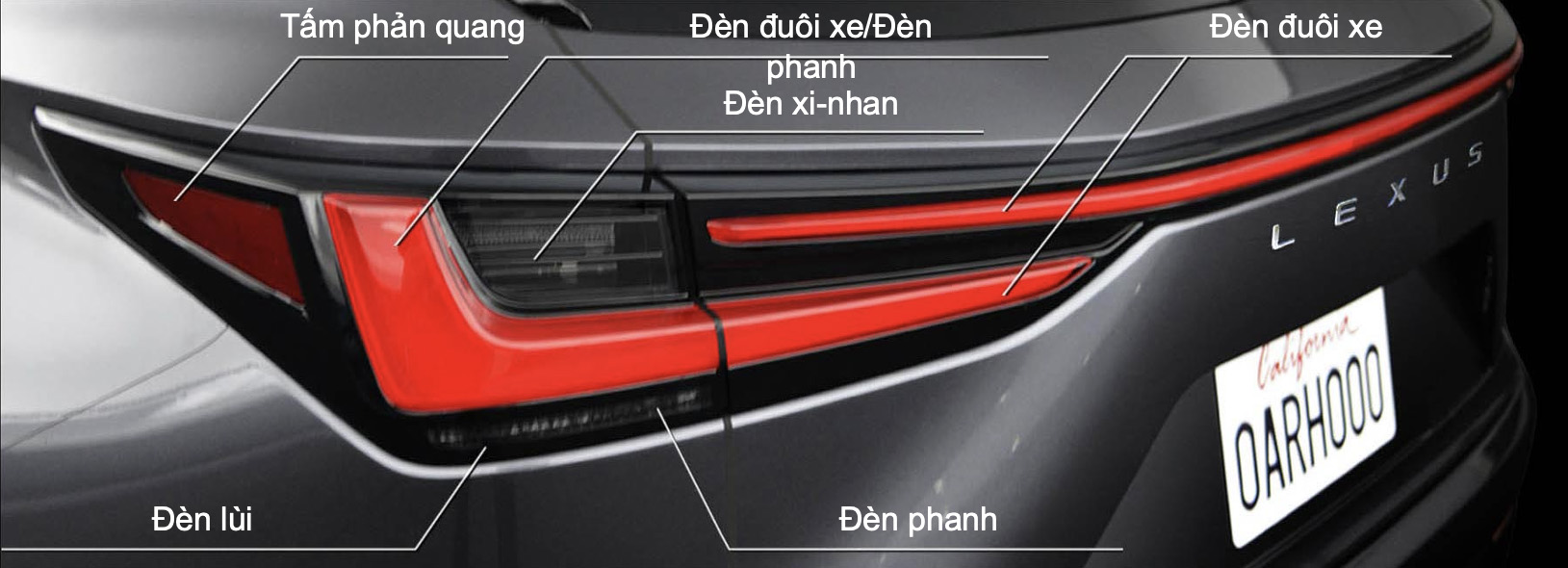 Đèn hậu xe Lexus NX 350 F SPORt