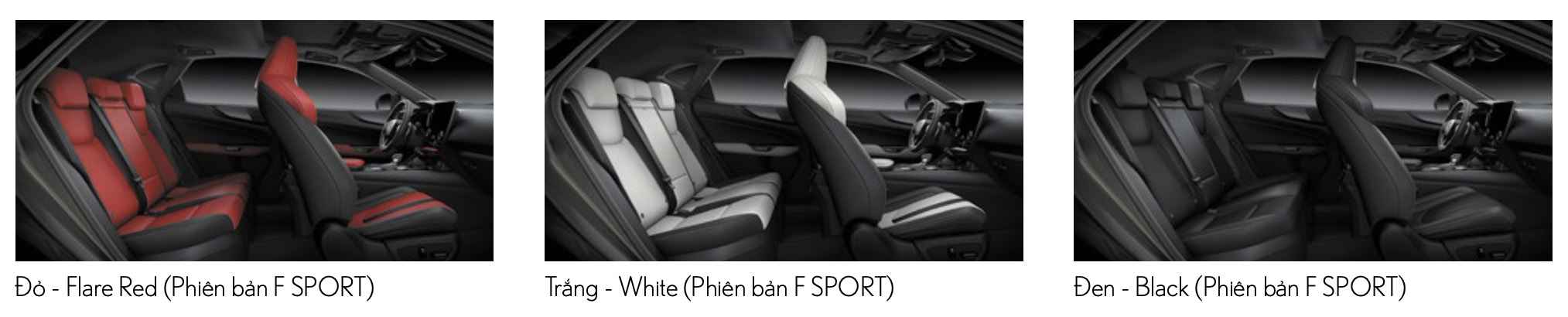Màu nội thất xe Lexus NX 350 F SPORt