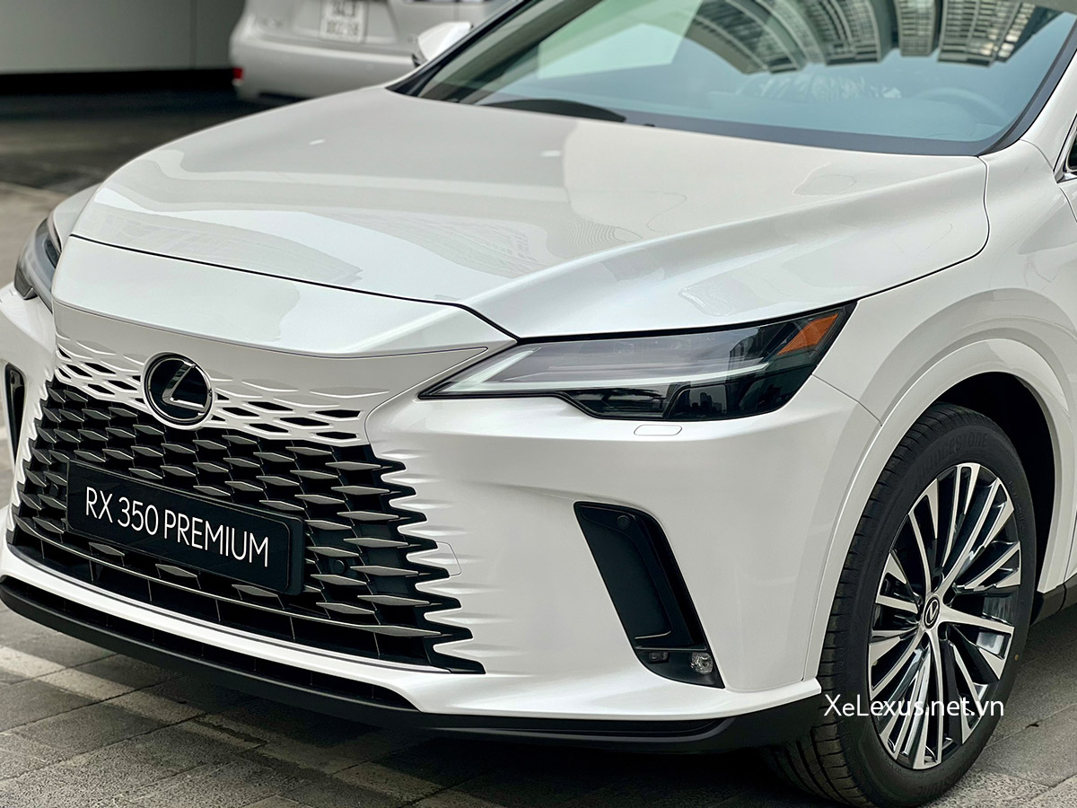 Nắp capô trên xe Lexus RX350h Premium