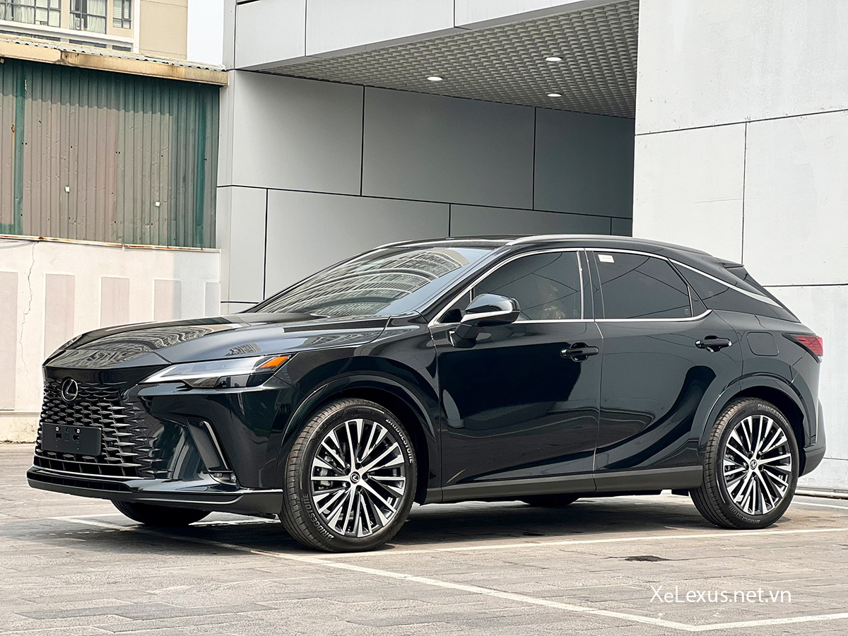 RX350h màu Đen Ánh Kim (Mã màu: 223)