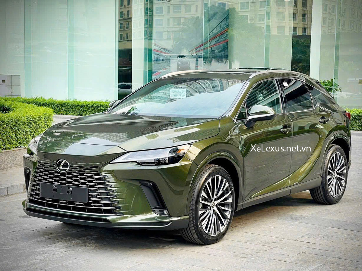 RX350h màu Xanh Terrane Khaki 6X4