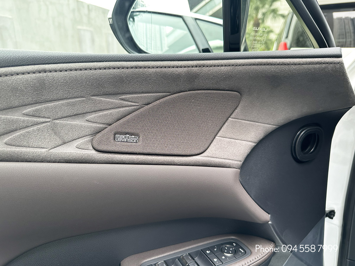Hệ thống âm thanh Mark Levinson trên RX 2024