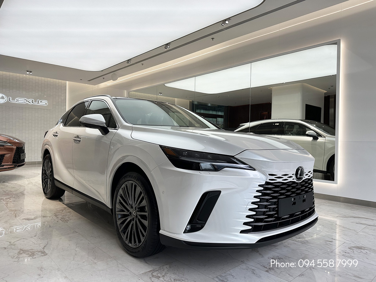 xe-lexus-rx-2024_7