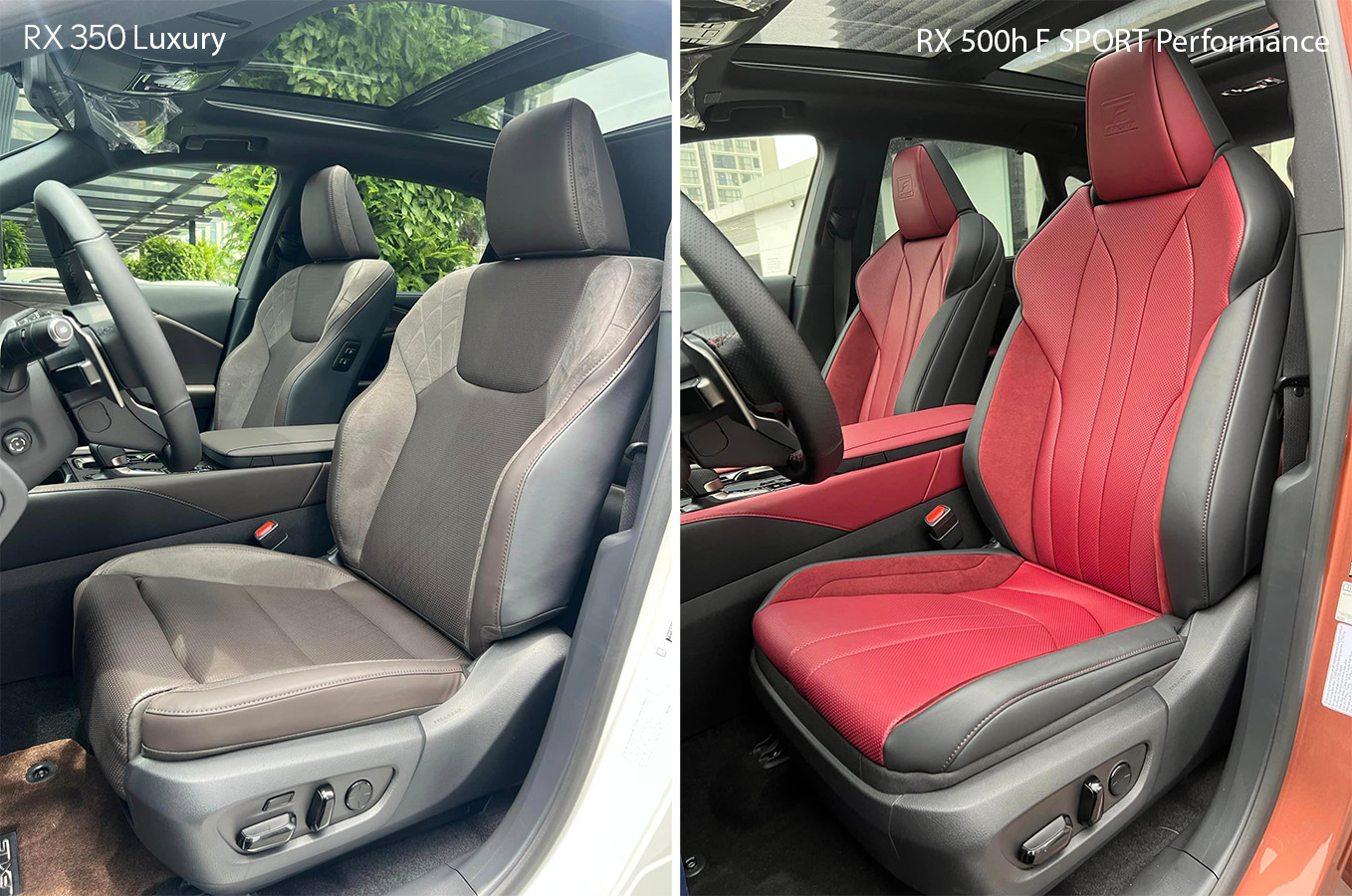 khac-nhau-ghe-ngoi-giua-ghe-ngoi-rx350-luxury-va-rx500h-f-sport